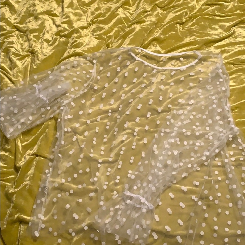 Plus mesh polka dot blouse